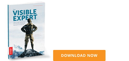 Free Book: The Visible Expert