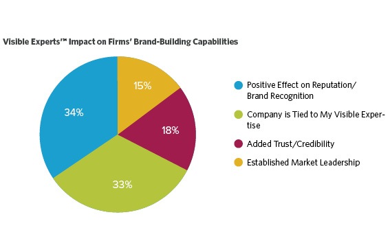 Visible Experts' Impact on Firms' Brand-Building Capabilities
