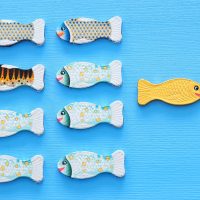 differentiate your firm