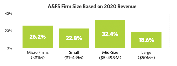 Accounting Firm Sizes - HG 2021