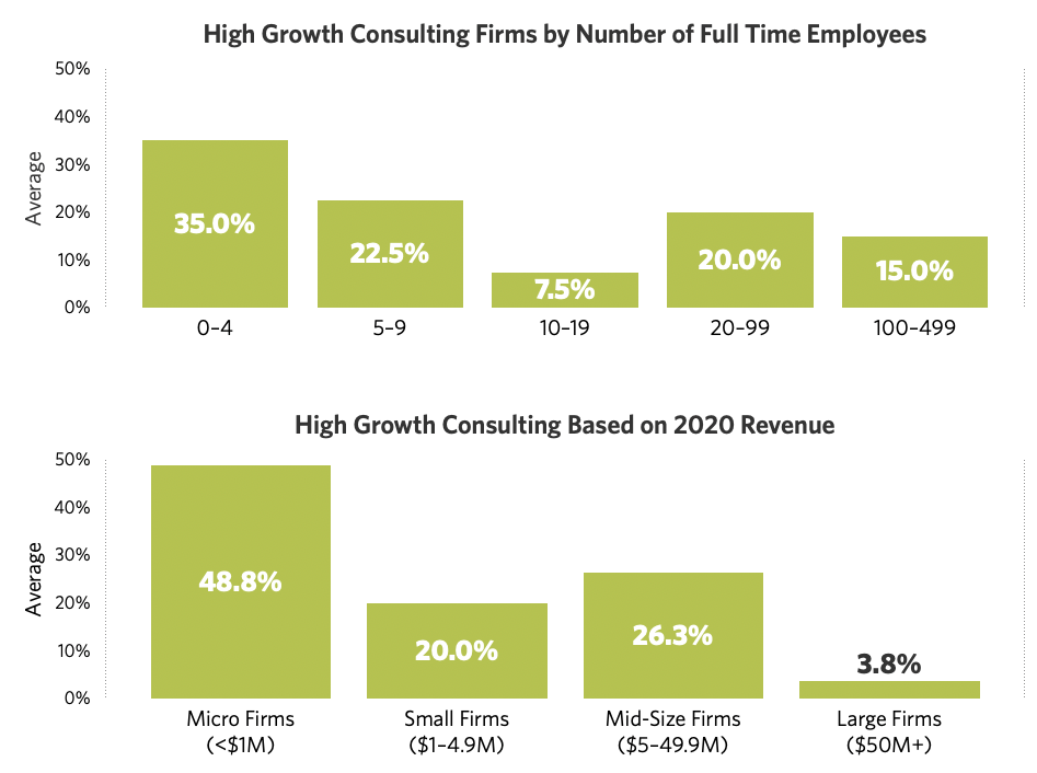 High Growth Consulting Firm FTE
